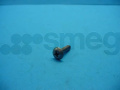 Smeg Screw - 899370428 Screw